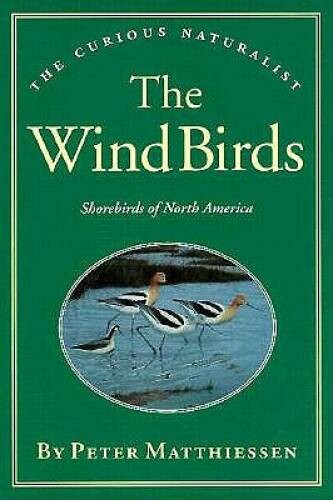 The wind birds curious - the, (curious