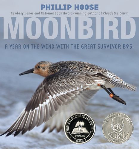 Moonbird year the wind - moonbird:,