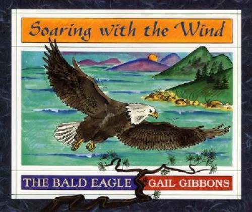 Soaring with the wind - soaring, wind: